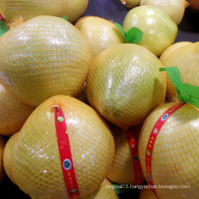 Citrus Fruits  New Harvest Fresh Honey Pomelo Chinese Grapefruit Shaddock Red/ White Honey Pomelo